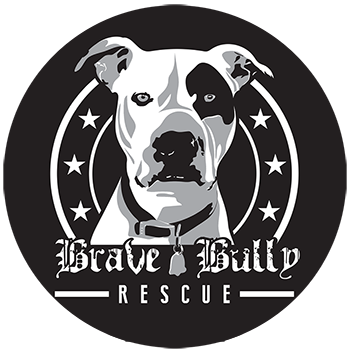 All bullies hot sale rescue